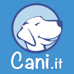 Cani.it Coupons & Promo Codes