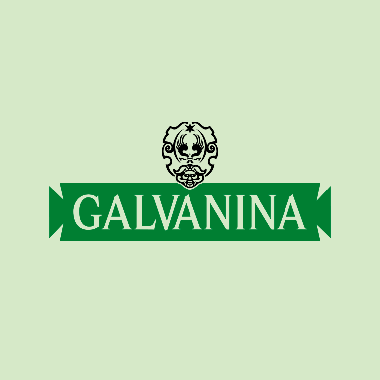 Galvanina Coupons & Promo Codes