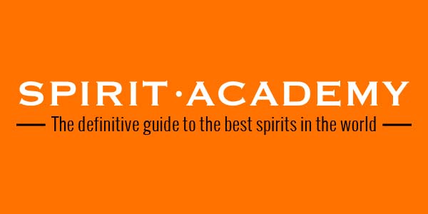 Spirit Academy Coupons & Promo Codes